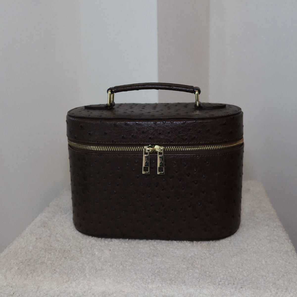The Vanity Case – Travel Makeup Bag & Cosmetic Case with Ostrich Leather - Clove PIQUÉ CASES