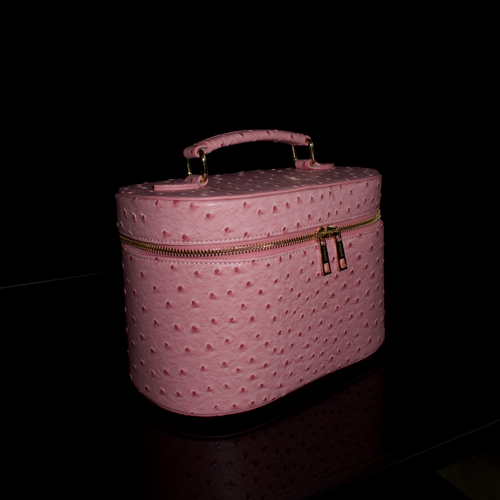 Ostrich Vanity Case